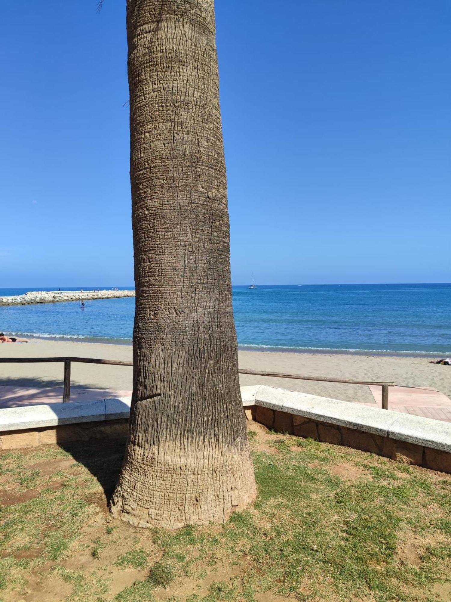 Fuengirola Reyes Beach Exteriér fotografie